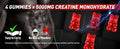 CREATINE MONOHYDRARE GUMMIES